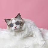 Husdjur Runda Retro Solglasögon-Accessories-bellasverige-Hemnix