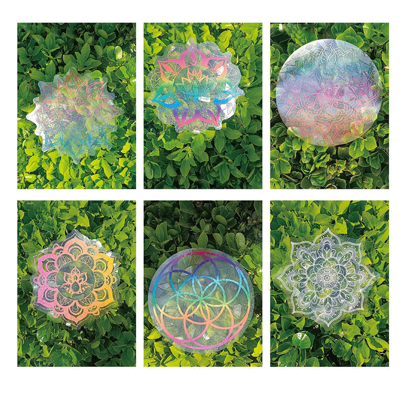 Carvallo | WinterGlow – Julstämning på bara 1 minut! Carvallo