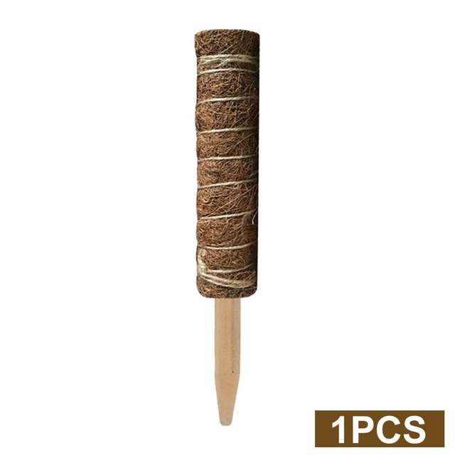 Kokosmoss Stativ för klätterväxter – Naturligt stöd för inomhusväxter och trädgård Carvallo