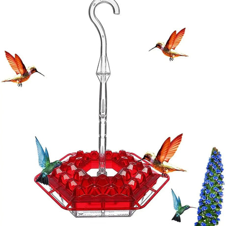 Ant-Proof Kolibri Matare med 30 Bi-Motståndskraftiga portar Carvallo