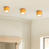 LED Taklampa Modern Flush Mount Cylinder Carvallo