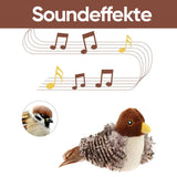 Carvallo - Den säkra leksaken för din katt! Carvallo