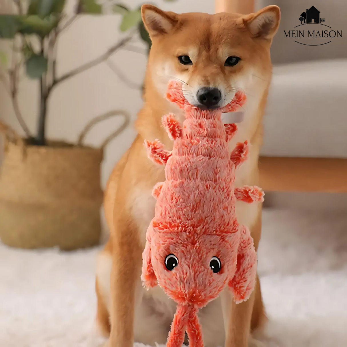 Carvallo – Den medspelare som tänker med Carvallo