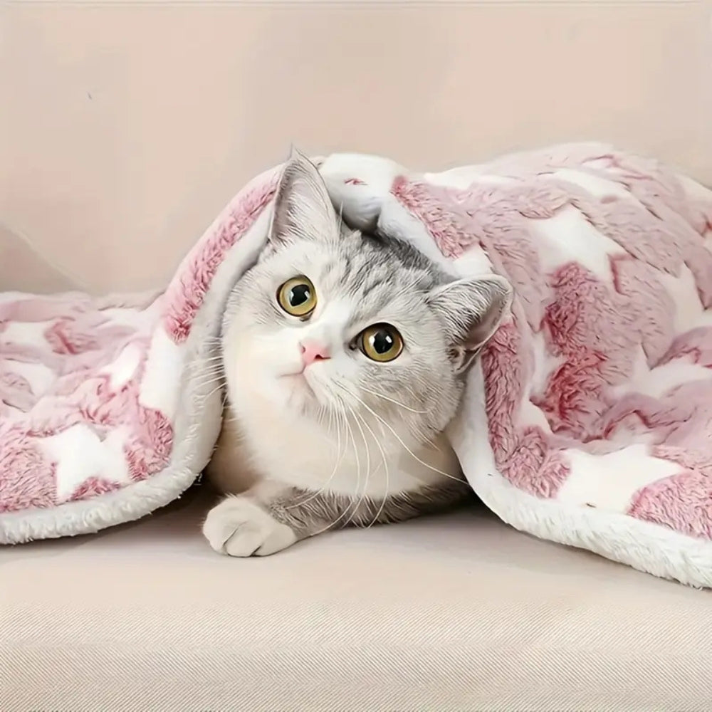 Snuggly Star Ultra-Varm Hundsäng Carvallo