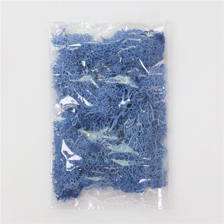 Konstgjord mossa för landskapsdesign – Mossa och blommor för dekoration och floristisk Carvallo