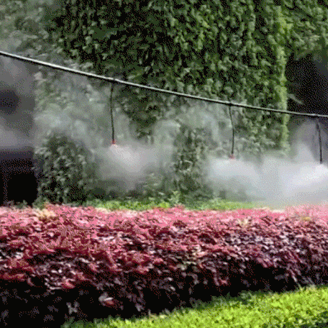 Carvallo – Friskhet & Vård för din trädgård Carvallo