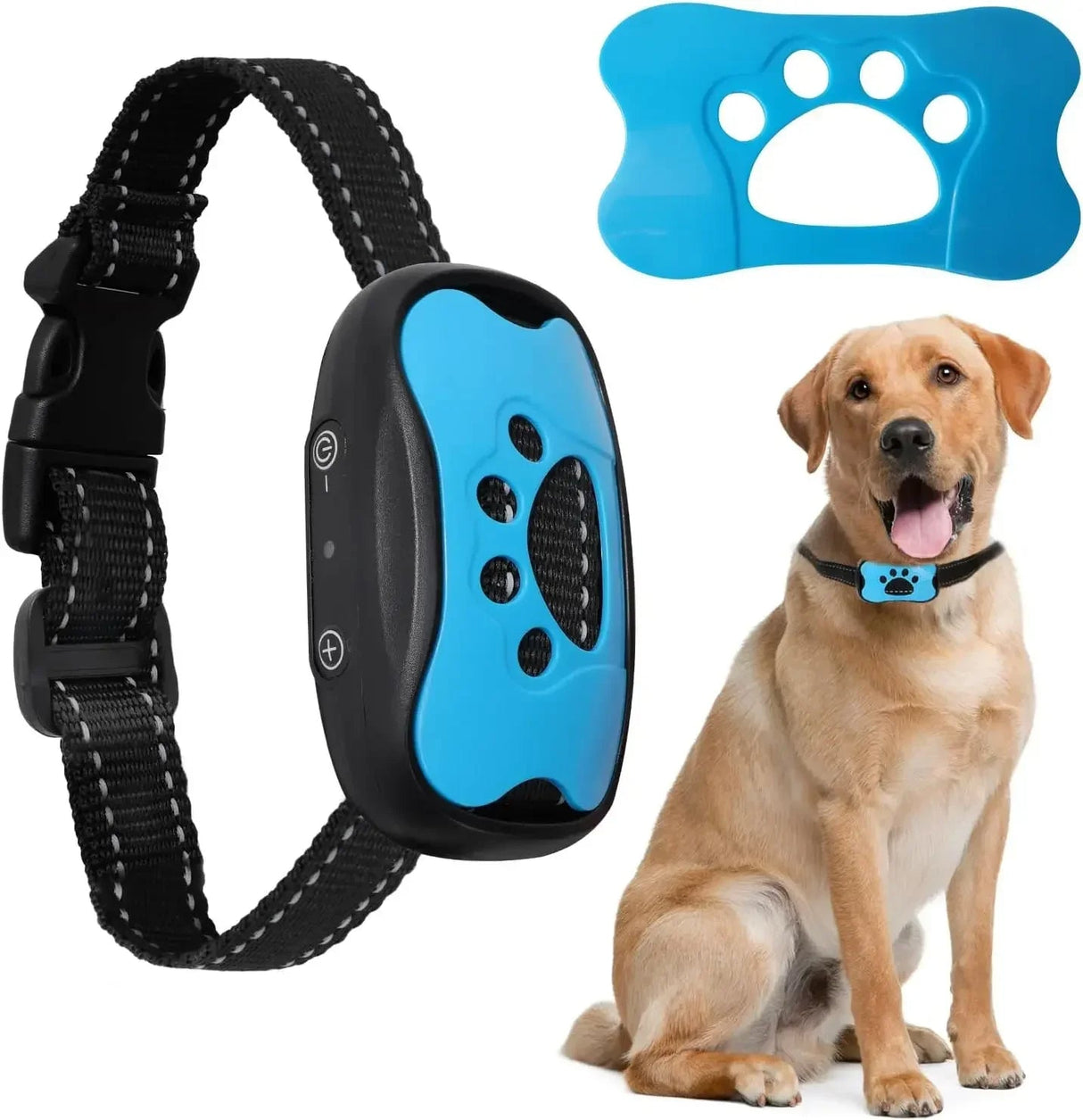 BarkBuddy Anti-Bark Hundhalsband Carvallo