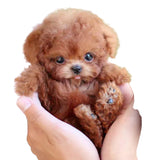 PetPal – Hyperrealistiskt Plysdjur med Interaktiva Funktioner Carvallo