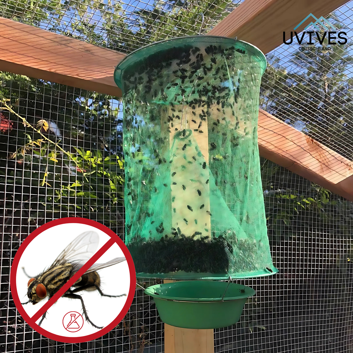 Carvallo – Slut med flugor i trädgården och huset Carvallo