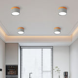 LED Taklampa Modern Flush Mount Cylinder Carvallo