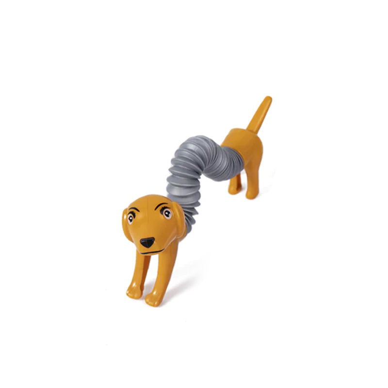 Carvallo – Timslångt spelande utan tristess Carvallo