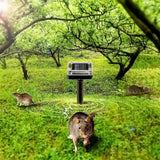 Solcellsdriven orm- och skadedjursavskräckare – ultraljudsenhet för trädgården Carvallo