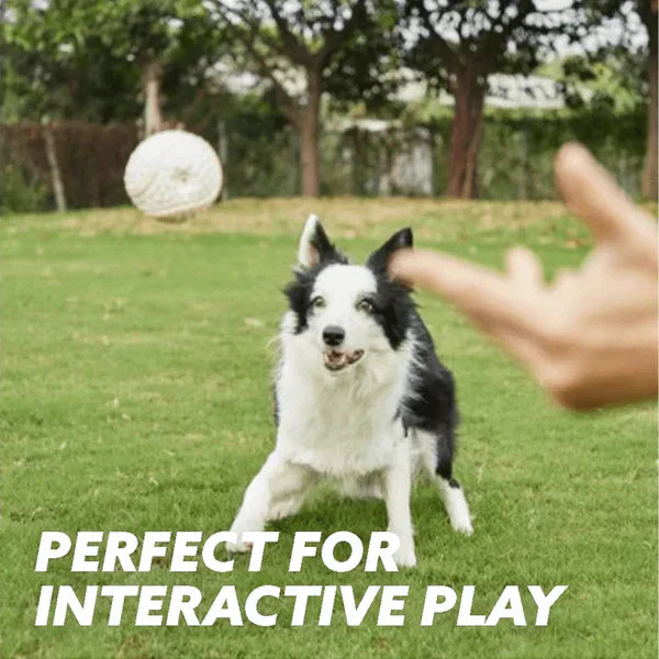 Pawelux Indestructible Chew Ball – Ultimata Hundleksak för Aggressiva Tuggare & Tandhälsa Carvallo