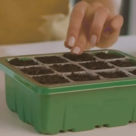 Inomhusväxthus med LED och luftcirkulation-VaruZ-Hemnix