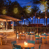 Carvallo – Tropiskt ljus för magiska nätter Carvallo