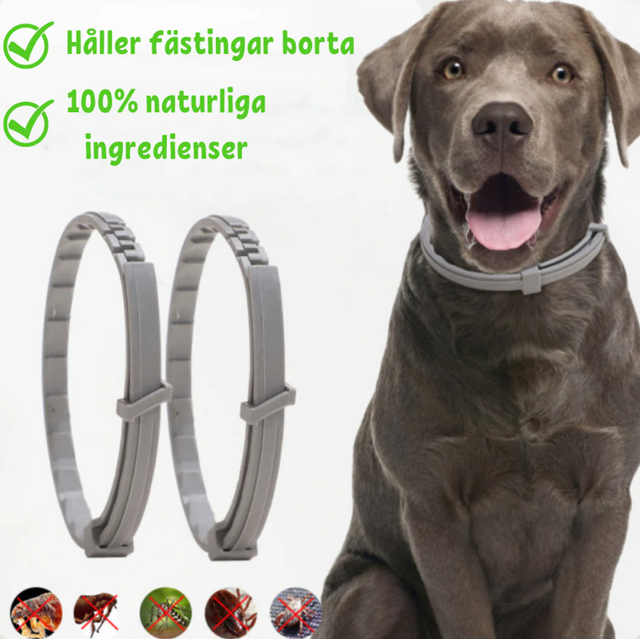 FästingFree – hund &katt halsband-leksaker-VaruZ-Liten hund 38 cm-Hemnix