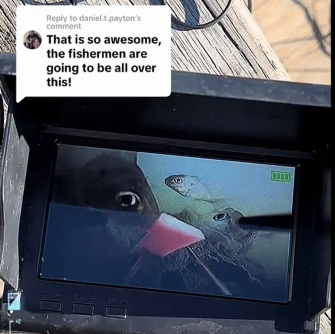 Colitt Fiskekamera med 30 meter kabel-VaruZ-Hemnix