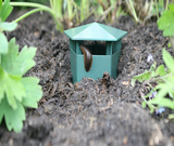 Snigelfälla-VaruZ-Hemnix