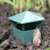 Snigelfälla-VaruZ-Hemnix