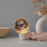 LumiSkull - USB Schedellampa, Färgglad Akryl Bordslampa för Sovrum och Halloween Dekoration Carvallo