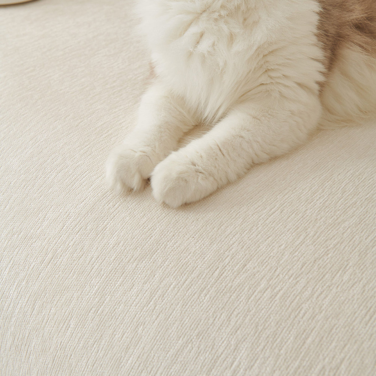 Pure Embrace Sofföverdrag - Modernt, Styligt & Hållbart Soffskydd Carvallo