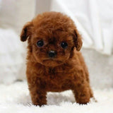 RoboDog™ | Realistisk robothund Carvallo