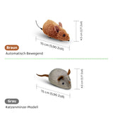 Carvallo | PawChase – Jaga, spela, jaga kul för din katt! Carvallo