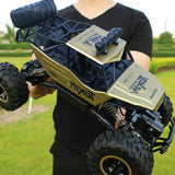 RC Truck | Radiostyrd 4WD Leksak för Barn Carvallo
