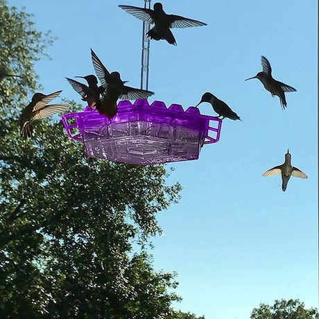 Kolibri Matare Röd Plast Hängande Fågelmatare Carvallo