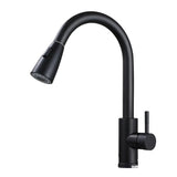 PureFlow – Enkelt Handtag Utdragbar Kökblandare Carvallo