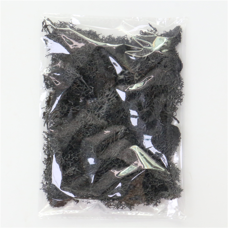 Konstgjord mossa för landskapsdesign – Mossa och blommor för dekoration och floristisk Carvallo