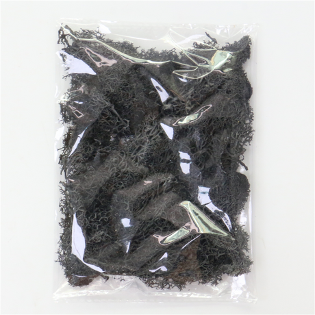 Konstgjord mossa för landskapsdesign – Mossa och blommor för dekoration och floristisk Carvallo