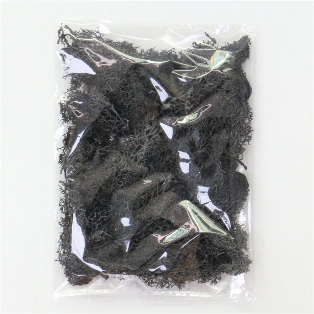 Konstgjord mossa för landskapsdesign – Mossa och blommor för dekoration och floristisk Carvallo