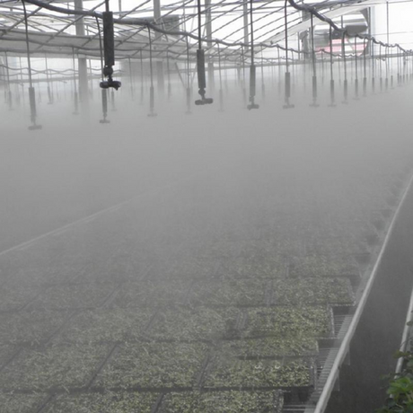 Svängbar sprutmunstycke med flera spruthuvuden – Justerbar bevattning för trädgårdsväxter Carvallo