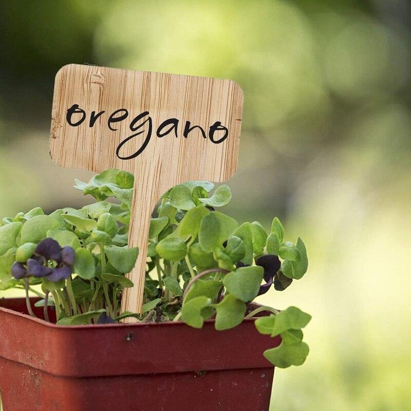 Etikett för träväxter MILA Sverige