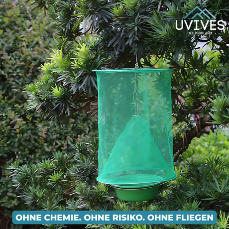 Carvallo – Slut med flugor i trädgården och huset Carvallo