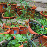 Trädgård Drip Irrigation Kit Carvallo