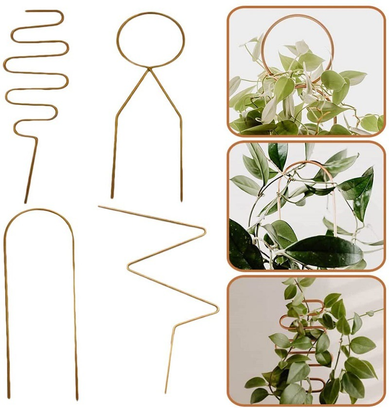 Metallplanter stötta för klätterväxter i olika former Carvallo