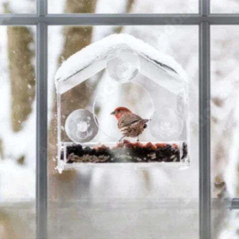 Carvallo Fönster-Fågelhus | Transparent Foderstation med Sugkoppar | Väderbeständig & Stabil | Observation på nära håll Carvallo
