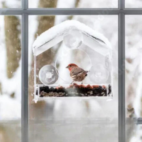 Carvallo Fönster-Fågelhus | Transparent Foderstation med Sugkoppar | Väderbeständig & Stabil | Observation på nära håll Carvallo