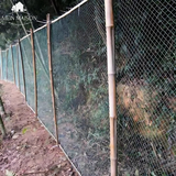 Carvallo Pro Trädgårdsnät | UV-beständigt & Rivtåligt | Mångsidigt växtskydd | Finns i önskad storlek Carvallo