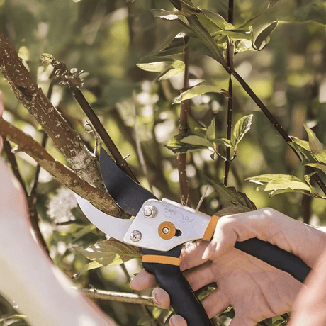 Carvallo Pro Häcksax | Rostfri kling | Ergonomisk & Rutschfest | Precision för fruktträd & buskar Carvallo
