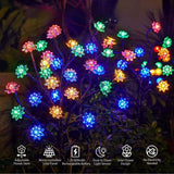 Carvallo – Förvandlar varje trädgård till ett blomsterparadis Carvallo