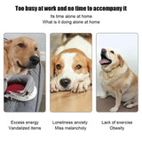 Automatisk hundbollkastare med 3 avståndsinställningar Carvallo