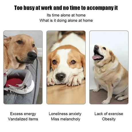 Automatisk hundbollkastare med 3 avståndsinställningar Carvallo