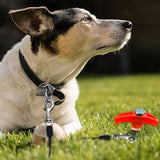 Carvallo - Galvaniserad stål pop up tältpluggar pluggar Carvallo