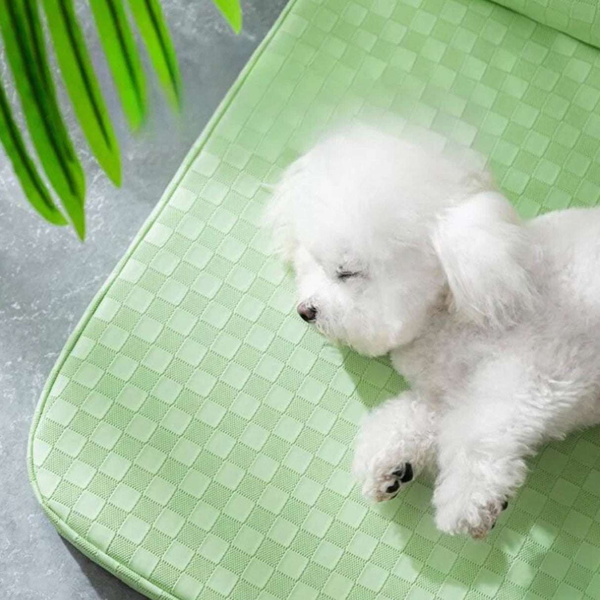 Rutig läder husdjur säng ortopedisk repa beständig tvättbar Carvallo