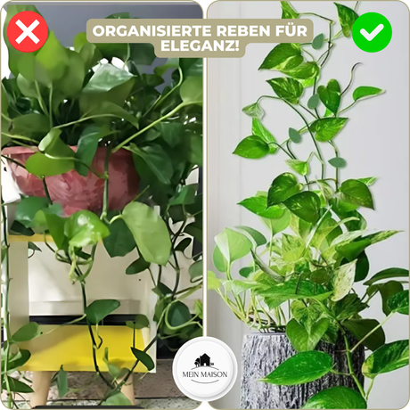 Carvallo | GrowGrip - Växtfäste klämmor Carvallo