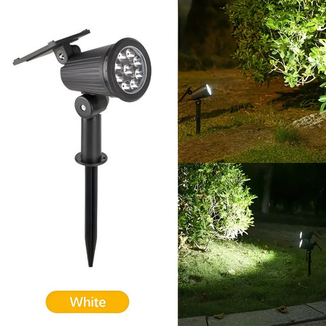 Power Glow Solar Light Carvallo