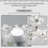 Carvallo – Ljus & Fräschhet i perfekt Harmoni! Carvallo